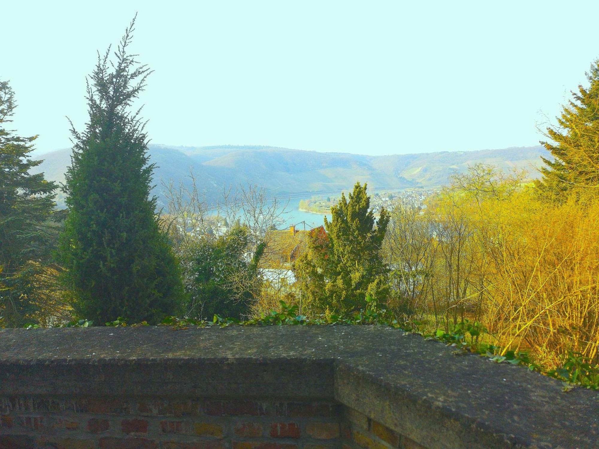 Little Rhineview Chateau Appartement Boppard Buitenkant foto