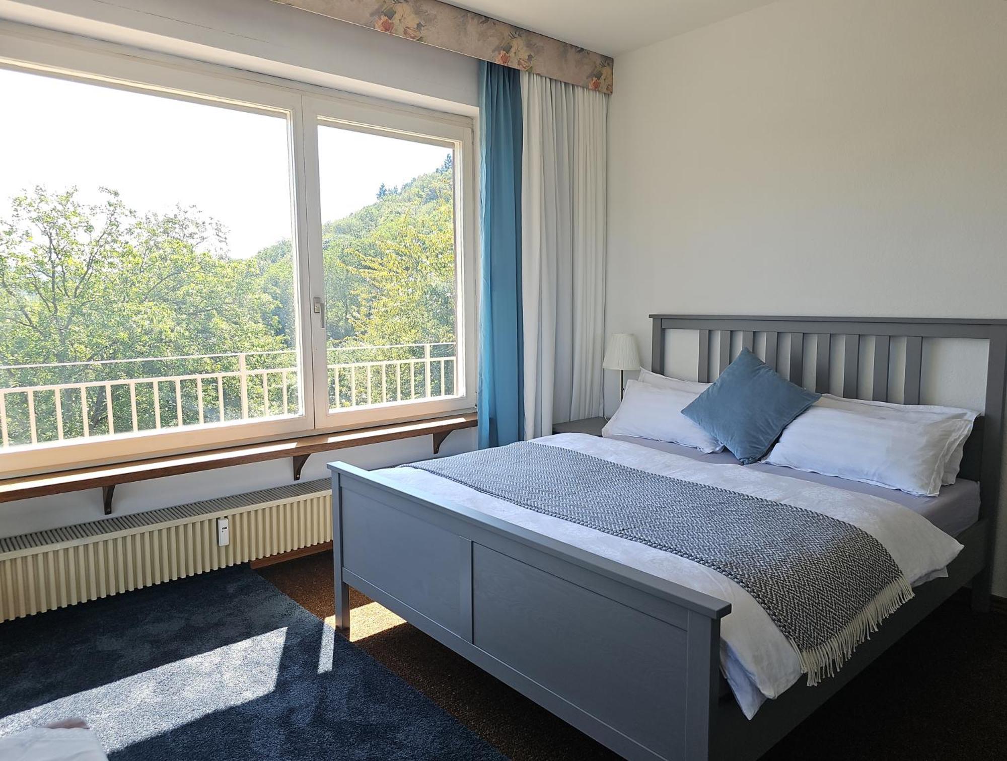 Little Rhineview Chateau Appartement Boppard Buitenkant foto