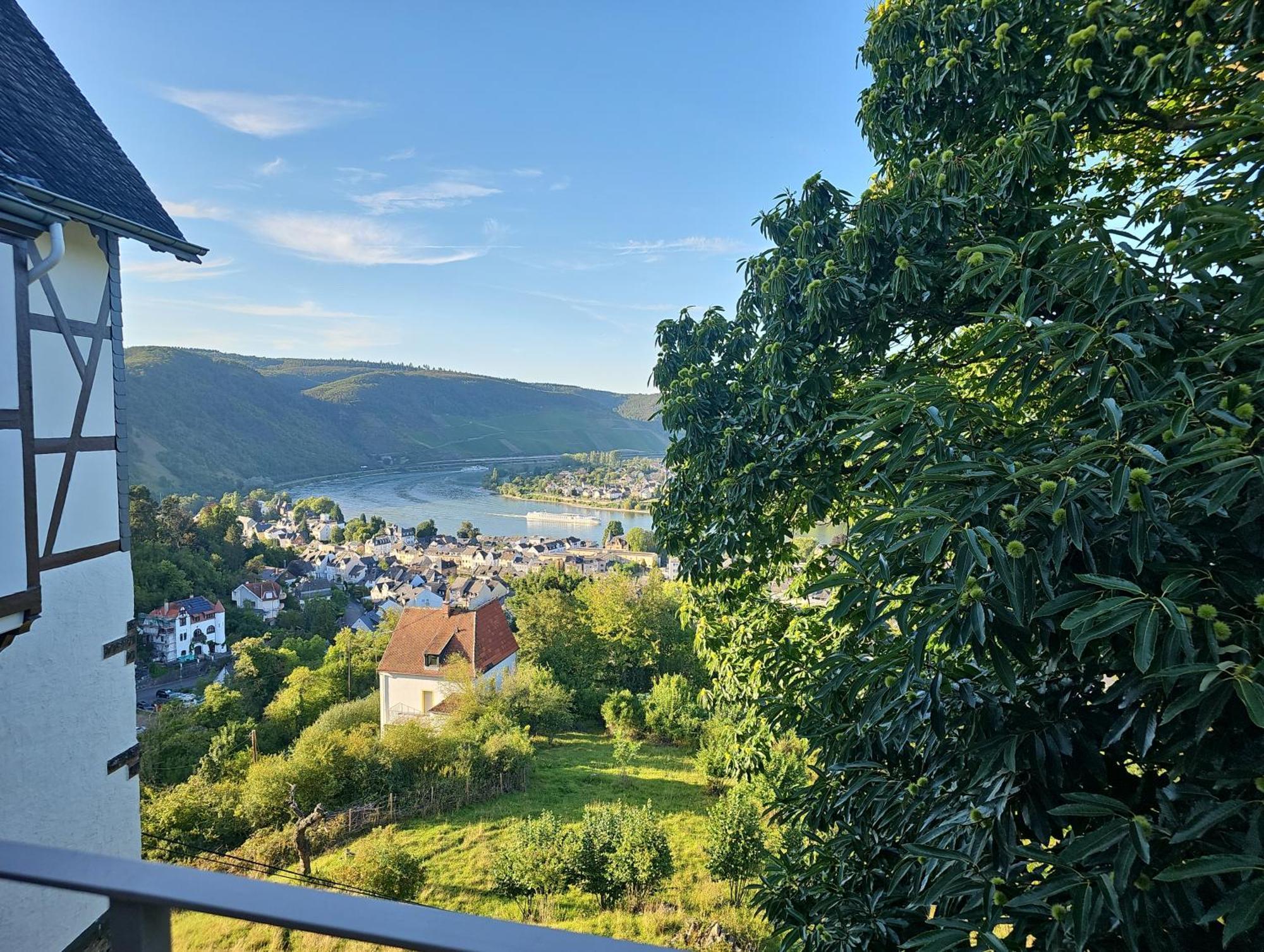 Little Rhineview Chateau Appartement Boppard Buitenkant foto